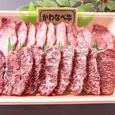 数量限定!かわなべ牛ハラミ・牛タンセット【配送不可地域：離島】【1185840】