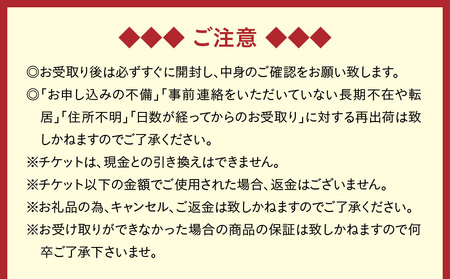 【 昼間 遊覧飛行 】鹿児島満喫コース（ 桜島 ＋ 鹿児島市内 ） セスナ式172型（大人3名まで） K222-FT003