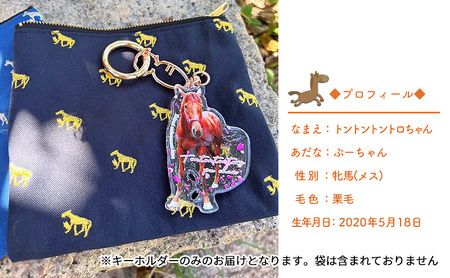 馬 たてがみ 尻尾 手作り レジン キーホルダー １個(トントントントロ) オリジナル 