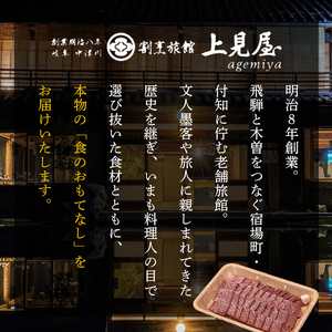 牛肉 飛騨牛 肩ロース肉 しゃぶしゃぶ用 500g 牛 肉 肩ロース ロース しゃぶしゃぶ 赤身 飛騨 F4N-0738