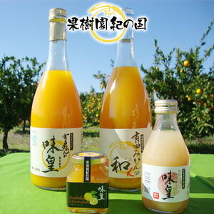 ZY6103n_有田みかんの味皇 180ml×12本 セット【和歌山 みかんジュース ミカンジュース ストレート 無添加 果汁100% 有田】