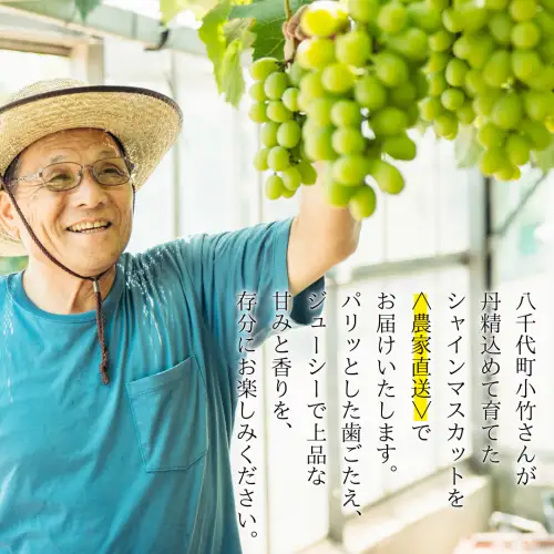 【先行予約】シャインマスカット 約1.4kg 2～3房