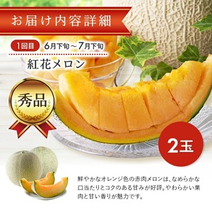 SE0489　【3回定期便】庄内オイシイ夏の便2026 (紅花メロン、小玉すいか、アールスメロン)