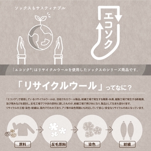 エコソク ハイソックス 2足組 （こっくりカラー） レディース ／ 靴下 ソックス ウール 暖かい 奈良県 葛城市【mika057】