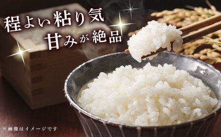 【令和7年度産】【全12回定期便】お米5kg 定期便コース / 米 おこめ お米 白米 / 大村市 / 一般社団法人大村市物産振興協会[ACAB143]