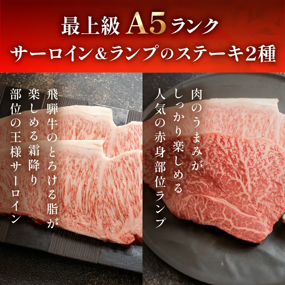 飛騨牛サーロイン・ランプステーキ約380g(約190g×各1枚)【11-1025】