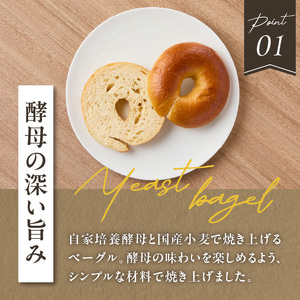 国産小麦＆自家培養酵母100％　酵母ベーグル10個 ベーグルセット プレーン ベーグルパン パンベーグル もちもちベーグル  酵母 ベーグル 065-09