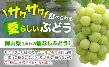 桃太郎ぶどう1房 約500g 晴れの国 おかやま館(フルーツランド岡山) 【配送不可地域あり】