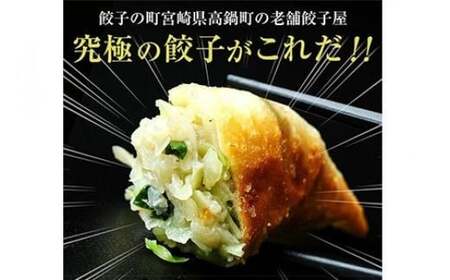 【宮崎空港で大人気!】＜馬渡のもっちり餃子240個＞翌月末迄に順次出荷 餃子の馬渡 ぎょうざ ギョーザ ギョウザ 焼餃子 宮崎餃子 グルメ 国産 特産品 たかなべ 宮崎県 高鍋町 冷凍【TVで話題沸騰！】【c1112_mw】