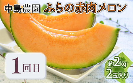 【年3回定期便】【2026年7～8月連続お届け】数量限定！ 美味 ふらのメロン 厳選3農家 コラボ  定期便(2)  食べ比べ 赤肉 2玉×3回 合計6玉 (北海道 富良野市 果物 フルーツ 甘い デザート 産地直送 新鮮 先着順 中島農園 相馬農園 坂口農産)