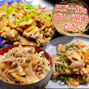 ◆丁度いい1.0㎏◆四万十町産◆新鮮国産ブランド豚こま切れセット 500g×2袋 国産豚肉 こま切れ 冷凍 小分け ／Adf-A24