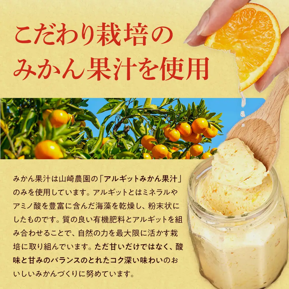 みかんバター 3本入 バター 果汁 食パン