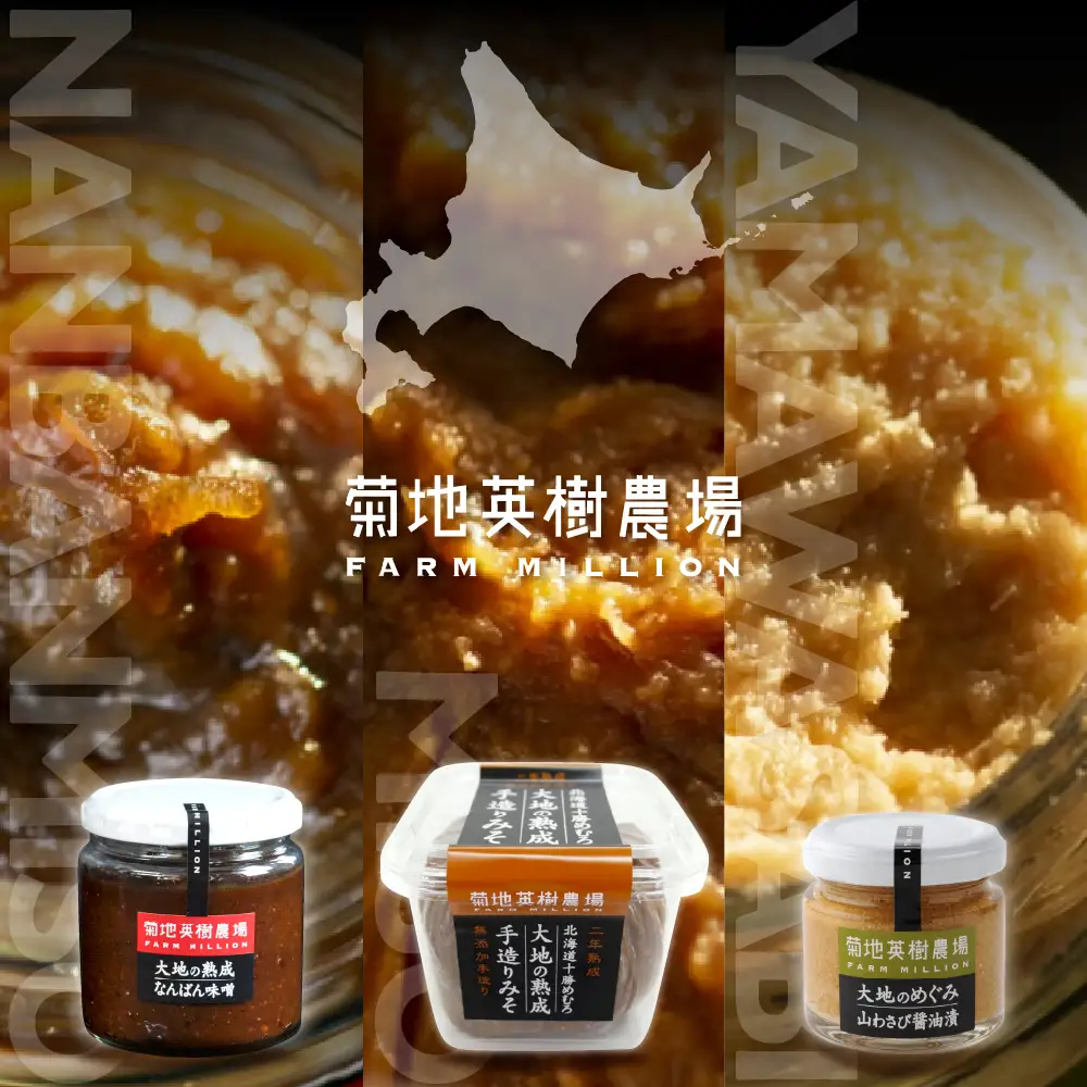 大地の熟成 手造り味噌 700g なんばん味噌 240g 山わさび 80g セット 十勝産大豆 調味料 わさび 味噌汁 ラーメン うどん パスタ 送料無料 北海道 十勝 芽室町me016-008c