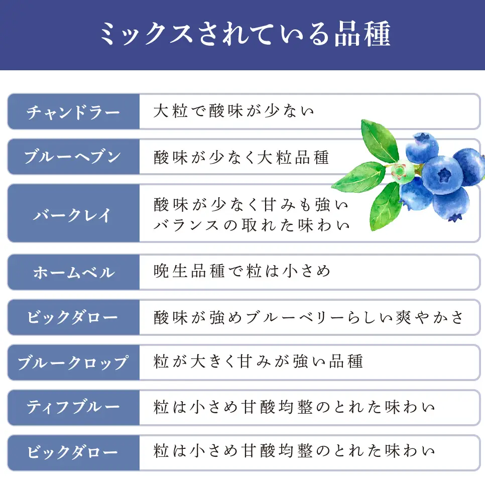 【 先行受付 】ブルーベリー ミックス 1kg 冷蔵 果物 くだもの フルーツ 旬の果物 旬のフルーツ 8品種 ミックスブルーベリー 大粒 小粒 北海道 芦別市