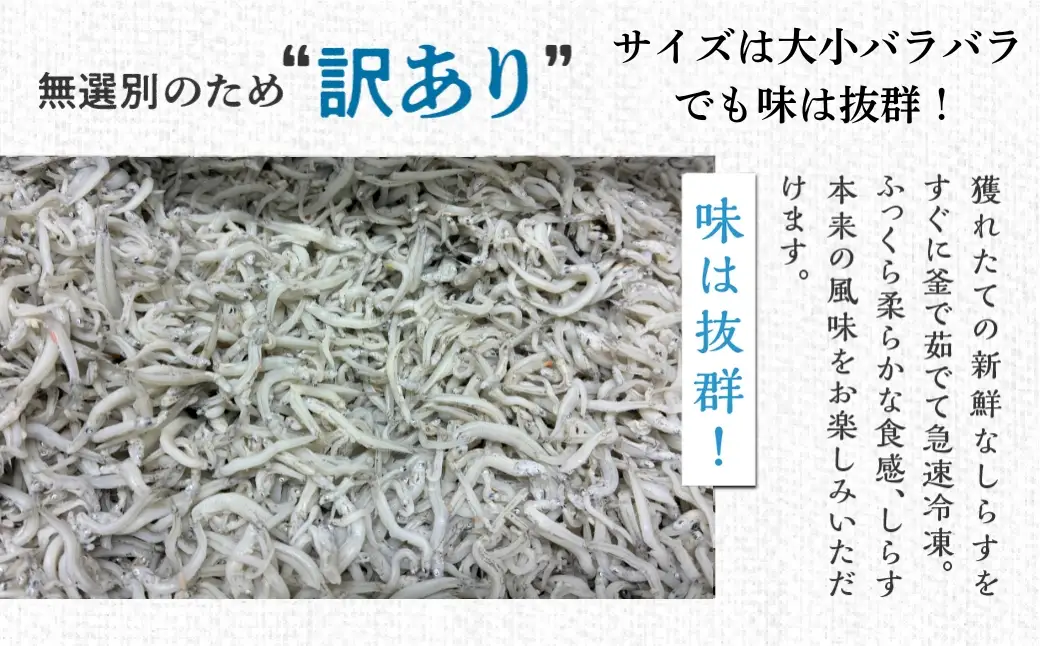 【訳あり】しらす 2kg 無選別 訳あり