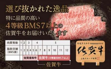 佐賀牛 サーロイン ステーキ 2枚 合計 520g  092-J907