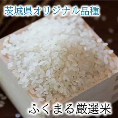 かすみがうら市産　『ふくまる厳選米』　　　　300g×5個_ 精米 米 _【1475348】