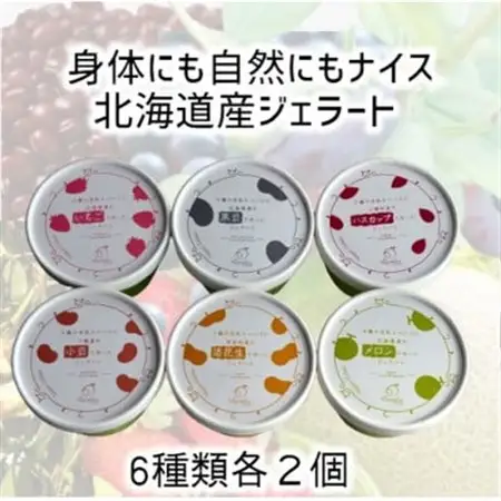北海道産ヴィーガンジェラート6種類×2個_菓子・スイーツ アイス・ジェラート  _【配送不可地域：離島】【1467829】
