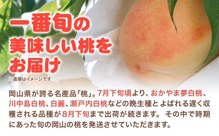 岡山白桃 約900g 晴れの国おかやま館(つむぐ株式会社) 【配送不可地域あり】
