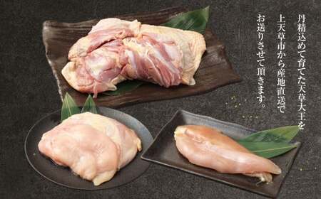 天草大王精肉セット 合計1.5kg（モモ ムネ ササミ ）天草大王 肉 お肉 鶏肉 冷凍 食べ比べ セット 熊本県 上天草市