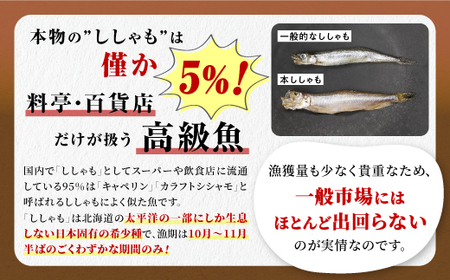 しらぬか産 本ししゃも【20尾（オスメス各10尾）】_A015-1019