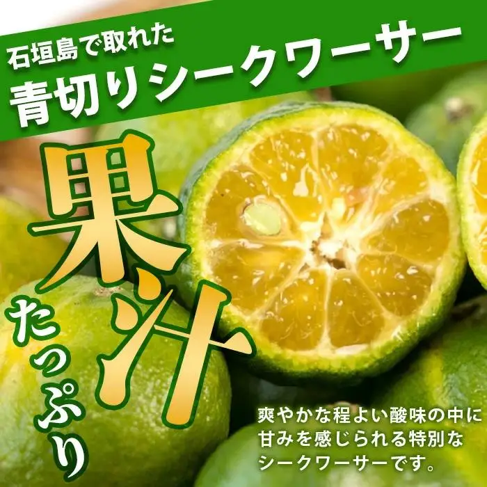 【先行予約】こだわりの青切りシークワーサー 2kg 約60～80個 