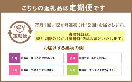 【12ヶ月定期便】熊本県フルーツ 12ヶ月定期便 ｜ フルーツ 果物 くだもの 苺 みかん 金柑 すいか メロン 梨 柿 旬 熊本県産