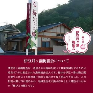 伊豆の月ヶ瀬で人気の梅シロップが今度はお酒になりました！ 伊豆月ヶ瀬の梅でつくった梅酒２本セット
