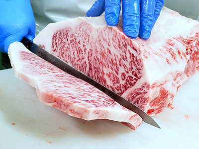お肉博士と工場見学　近江牛スゴーイ！～お持ち帰りできる近江牛500g付～【CB13W】