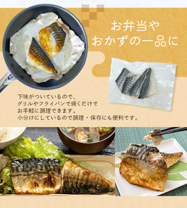 【12ヵ月定期便】骨なし 無添加 塩さば 切身 60g × 20枚 (4枚入り5セット)【tkb323】