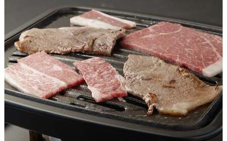 くまもとあか牛焼肉詰合せ 約360g