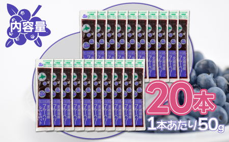 北海道 豊浦町 ブルーベリーシャーベット 20本 