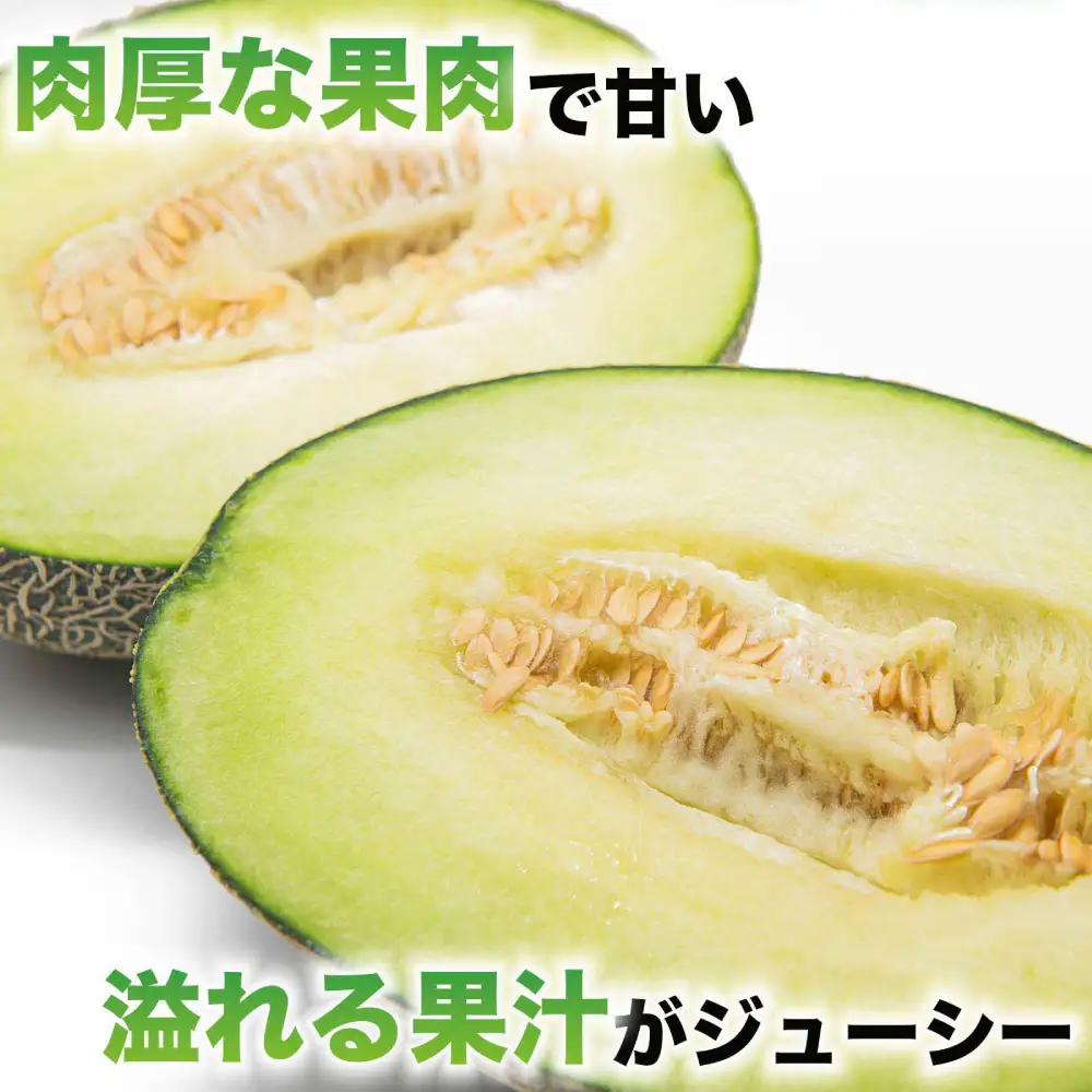 熊本県八代市産 肥後グリーンメロン 4L以上 2玉 約4kg 果物 くだもの フルーツ 肥後グリーン メロン 青肉メロン