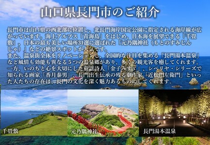 (10099)山口県長門市ふるさと応援寄付金1,000円分 返礼品なし