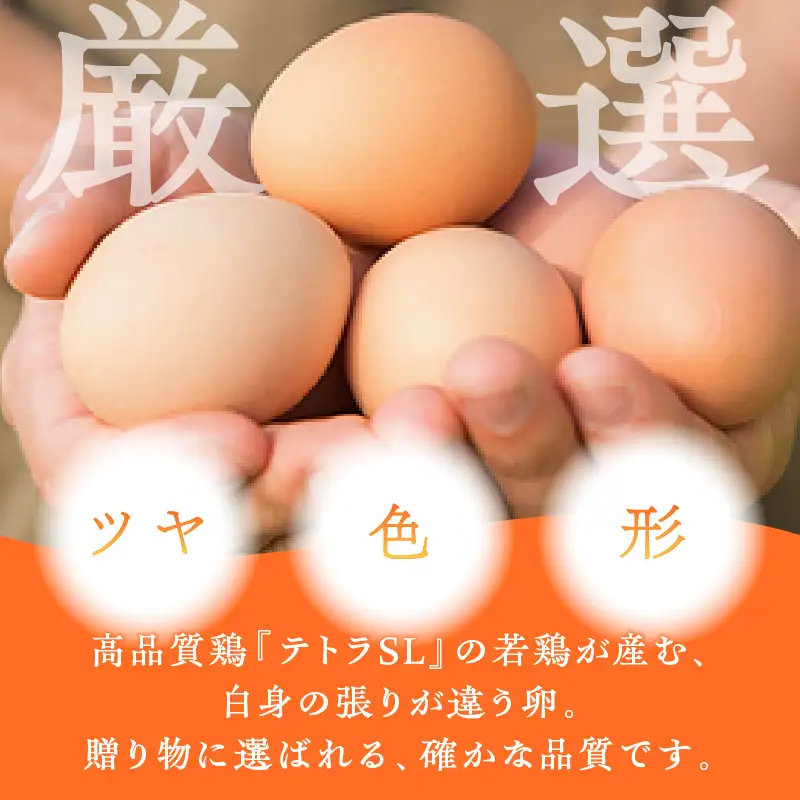 テトラエッグ特選卵『バボルナの宝石』（30個/月）【6カ月定期便】【E7-004】