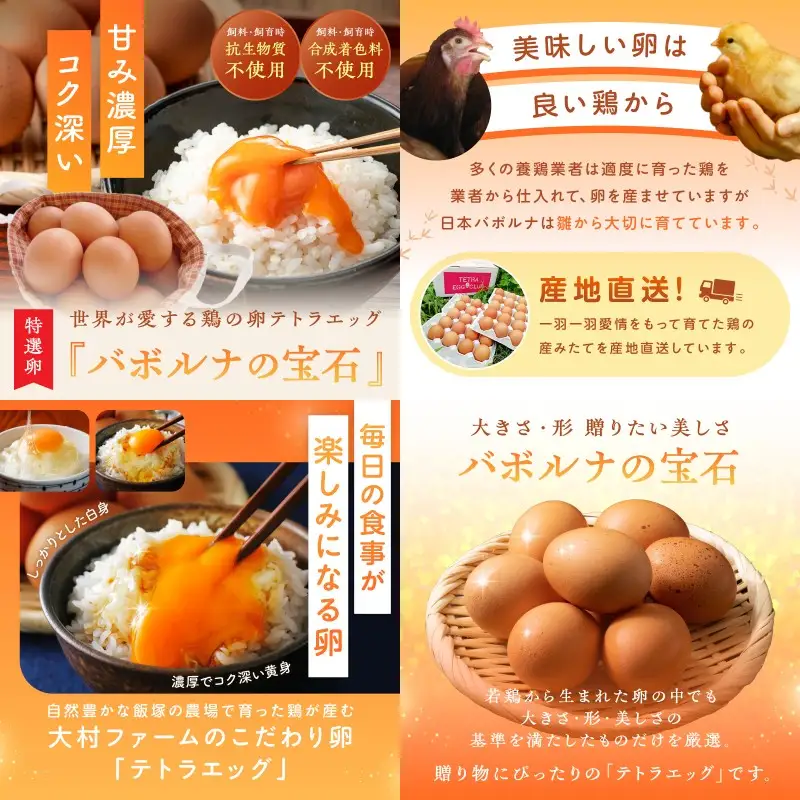 テトラエッグ特選卵『バボルナの宝石』（30個/月）【12カ月定期便】【J11-001】