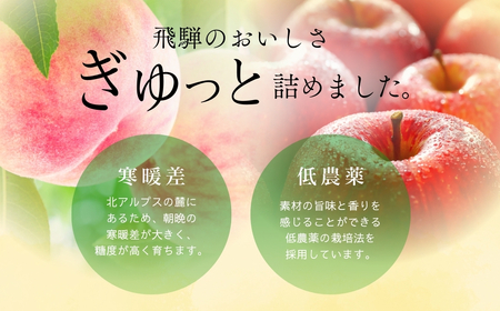 黒内果樹園の桃とりんごのジュース 10本セット