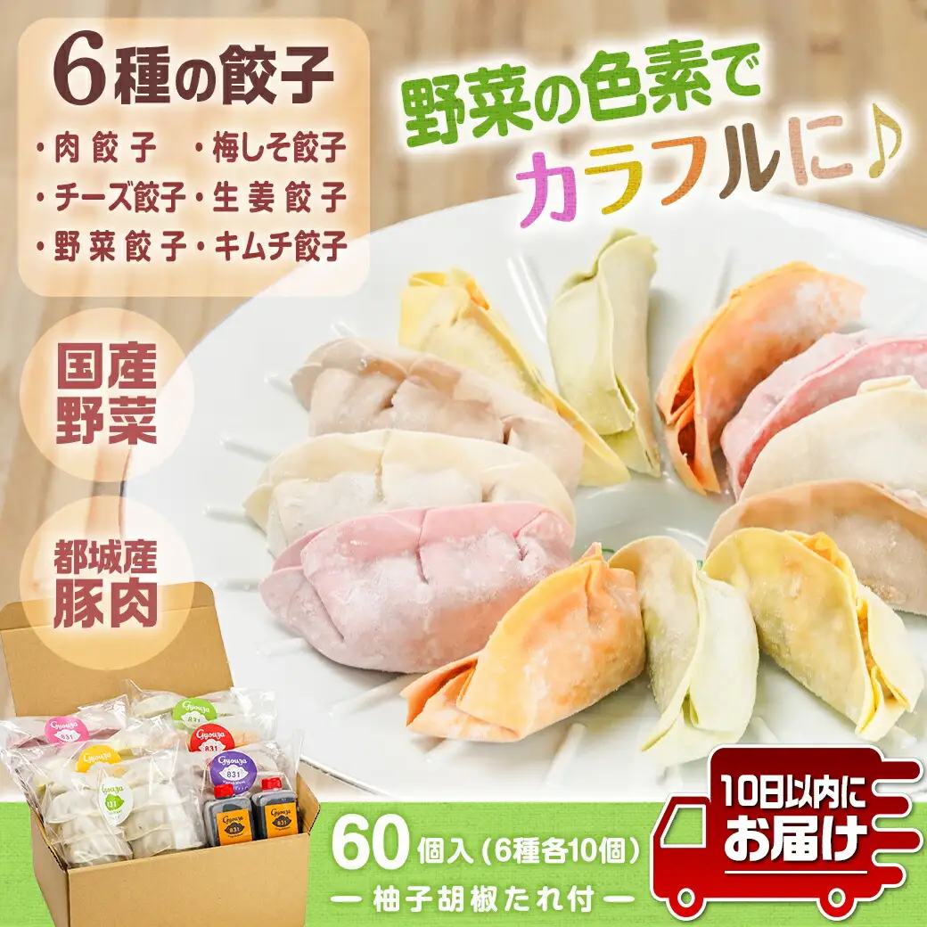 カラフル冷凍生餃子 食べ比べセット6種合計60個 ★肉・梅しそ・チーズ・生姜・野菜・キムチ★ ≪みやこんじょ特急便≫〔14-K601-Q〕_(都城市) 肉餃子 都城産豚肉使用 合計60個 6種類 柚子胡椒たれ付