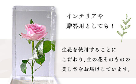 生花氷 バラ (12cm×12cm×25cm) 約4kg 氷 花 インテリア プレゼント ギフト 大村市 大村製氷[ACZN002]