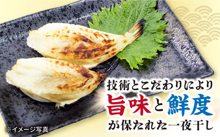 ふぐ 一夜干し 600g / ふぐ フグ 一夜干し 河豚 干物 ひもの / 大村市 / 株式会社ナガスイ[ACYQ012]