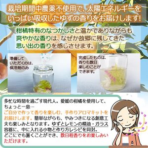 手作りアロマキット OMS0003