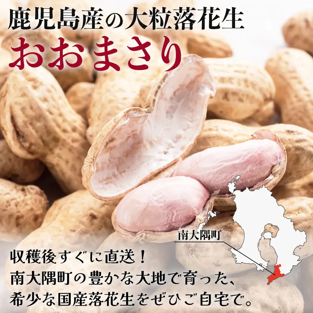 【先行予約】食べ応え抜群の大粒落花生「おおまさり」500g袋×２袋≪数量限定≫　FR-311 ｜鹿児島県産 野菜 やさい 食品 人気 おすすめ 送料無料 落花生 おおまさり 産地直送 新鮮 南大隅町