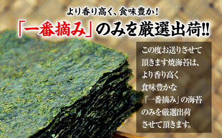 海苔 訳あり 一番摘み 有明海産 海苔 熊本県産（有明海産） 小分け 全形 40枚入り×1袋 有明海 海産 海鮮 訳あり海苔 焼き海苔 都度《45日以内に出荷予定(土日祝除く)》  美味しい海苔 有明海産海苔 有明海苔 熊本の海苔
