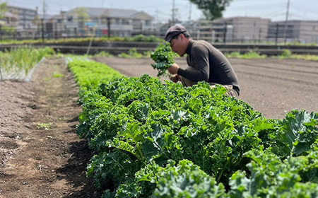 UTSUNOMIYA BASEの畑産野菜ボックス 5kg