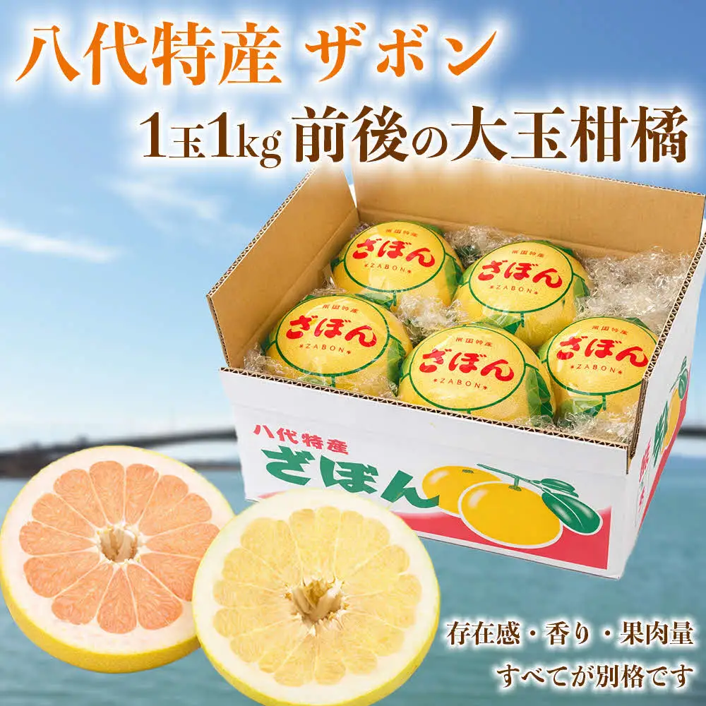 【先行予約】 【訳あり】 八代ザボン (赤肉または白肉) 約5kg (3～6玉)  果物 くだもの 果汁 柑橘 おやつ フルーツ デザート 熊本県 八代市 【2026年11月上旬より順次発送】