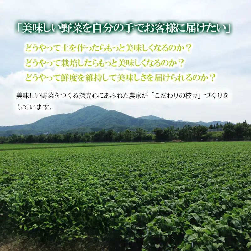 【令和8年産先行予約】【8/3～8/9発送】 朝採り生だだちゃ豆 1.2kg(600g×2袋) 山形県鶴岡市産　株式会社菜な八（鶴岡ファーマーズ）