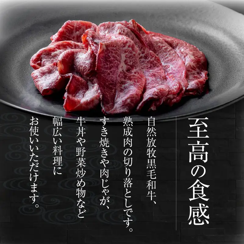 八崎牛の熟成切り落とし約1kg N0105-YA944