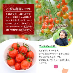 訳あり・規格外！数量限定の門川町産ミニトマト(計約4kg)フルーツトマト とまと 野菜 キャロルパッション 小鈴 プレミアムルビー アイコ ミックス 生 旬野菜 冷蔵【X-11】【いけとも農園】