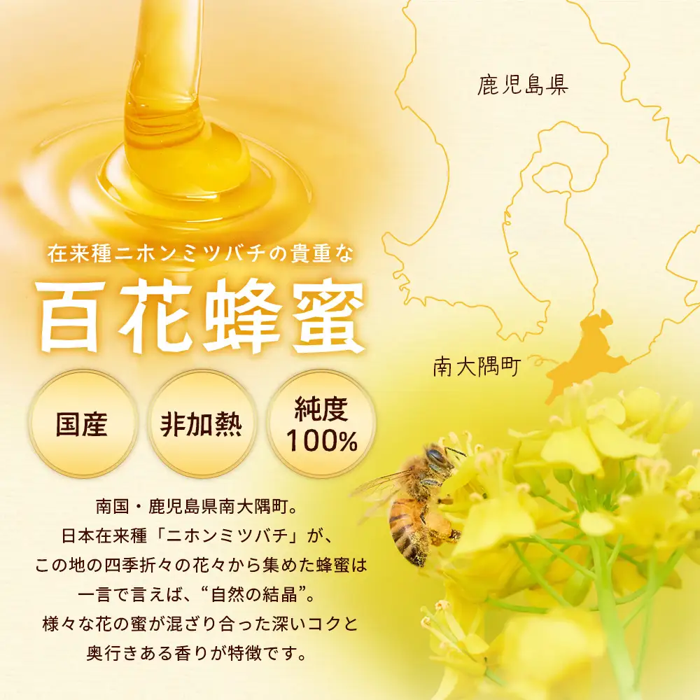 《数量限定》化粧箱入り！国産 百花はちみつ 【日本みつばち】580g×1個 TU-001 |はちみつ ハチミツ 蜂蜜 ハニー 百花蜜 贈答用 プレゼント ギフト 天然 非加熱 希少 純粋 産地直送 鹿児島県 南大隅町 椿山ファーム