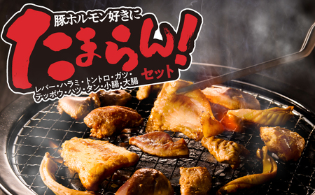2290 鹿児島 黒豚 みそ ホルモン ミックス 2kg（ 200g × 10パック ） KN054-010 肉 豚肉 冷凍